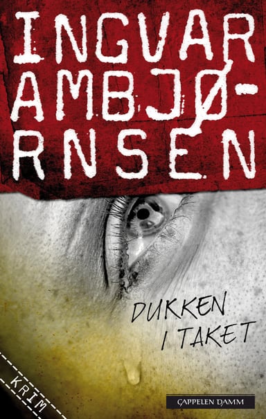 Omslag av "Dukken i taket"