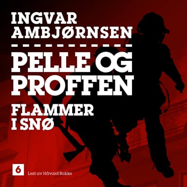 Omslag av "Flammer i snø"