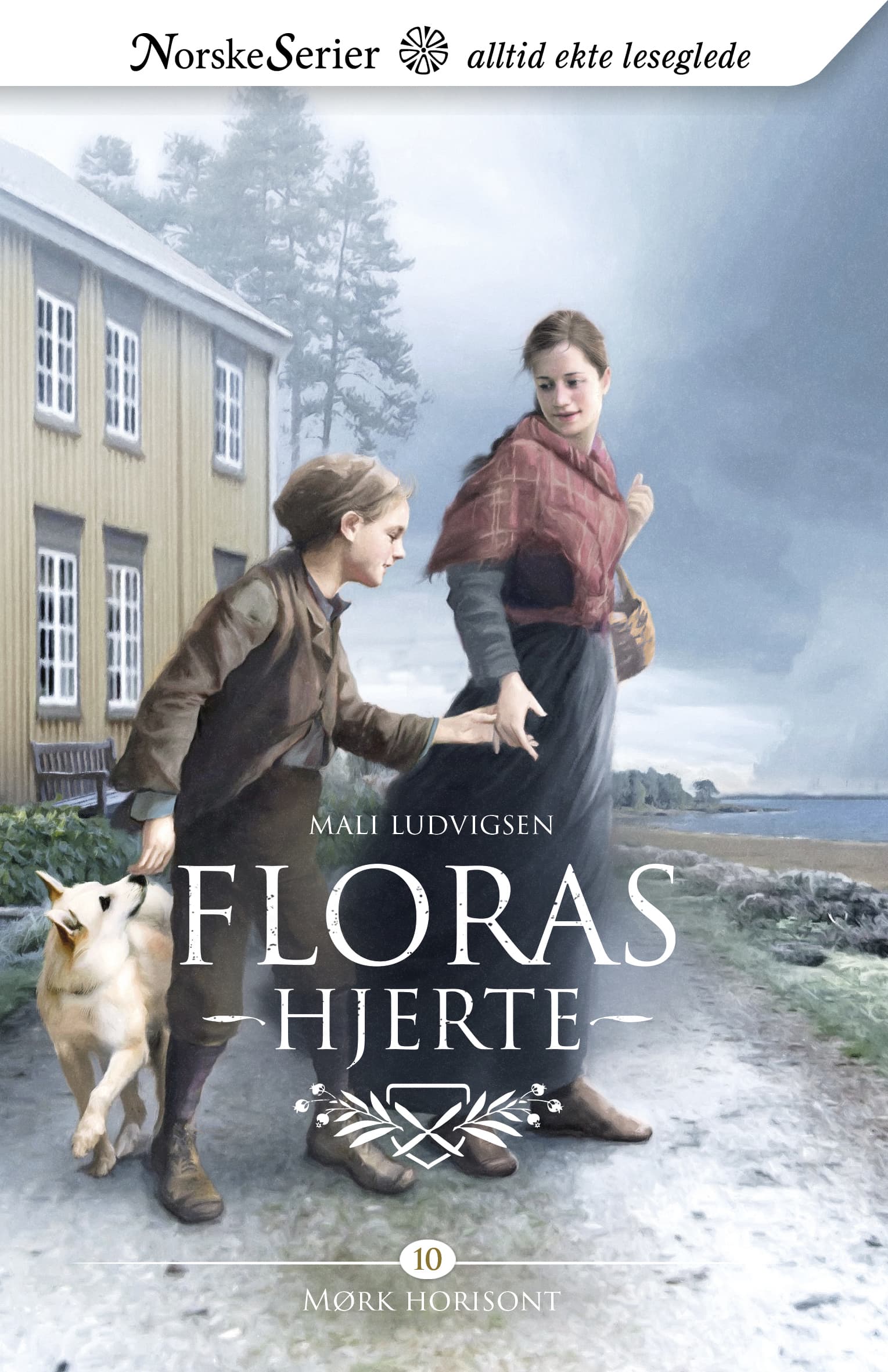 Omslag Mørk horisont av Mali Ludvigsen (Ebok)