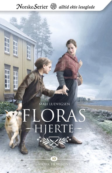Omslag av "Mørk horisont"