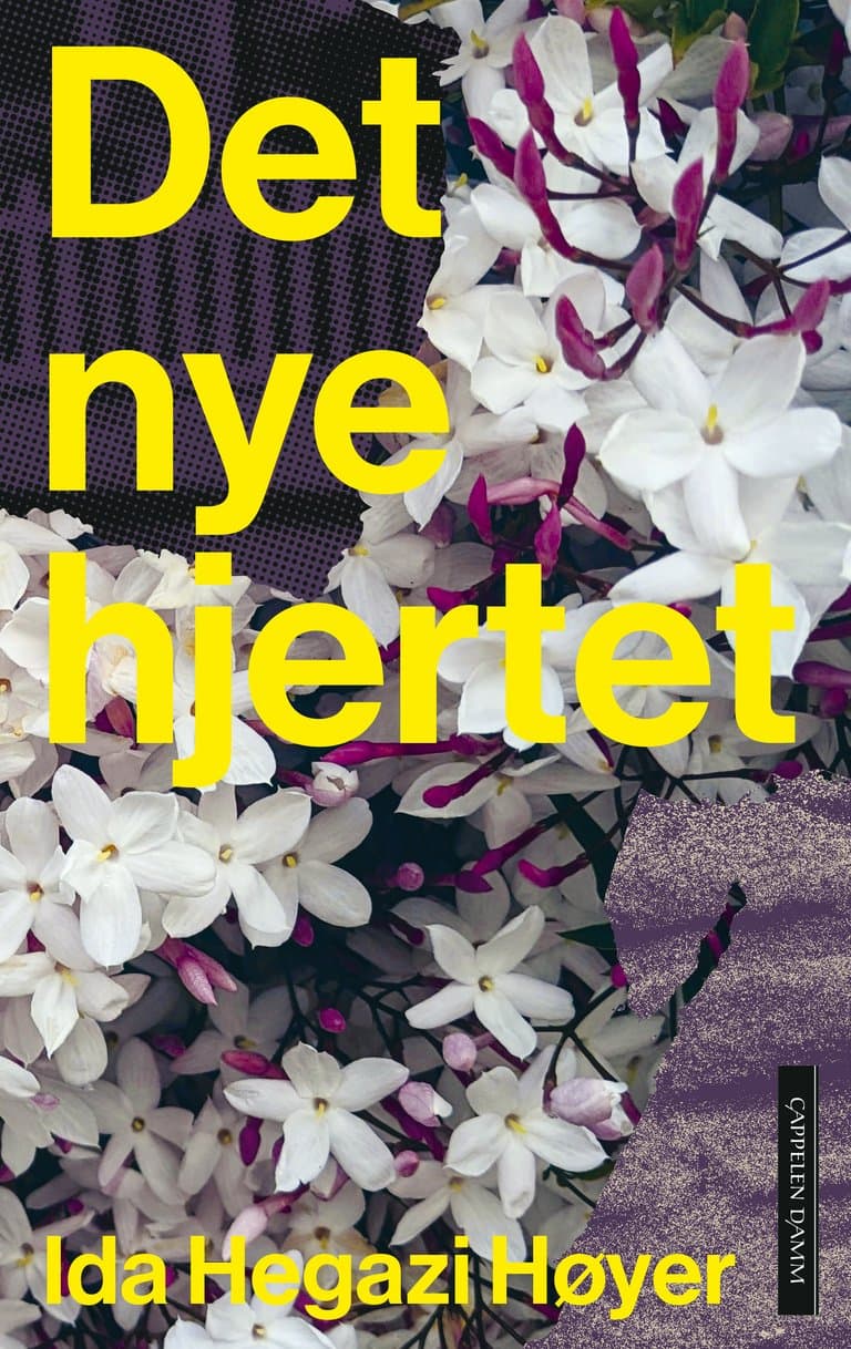 Omslag Det nye hjertet av Ida Hegazi Høyer (Ebok)