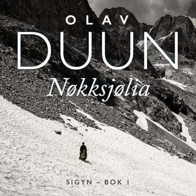 Omslag av "Nøkksjølia"