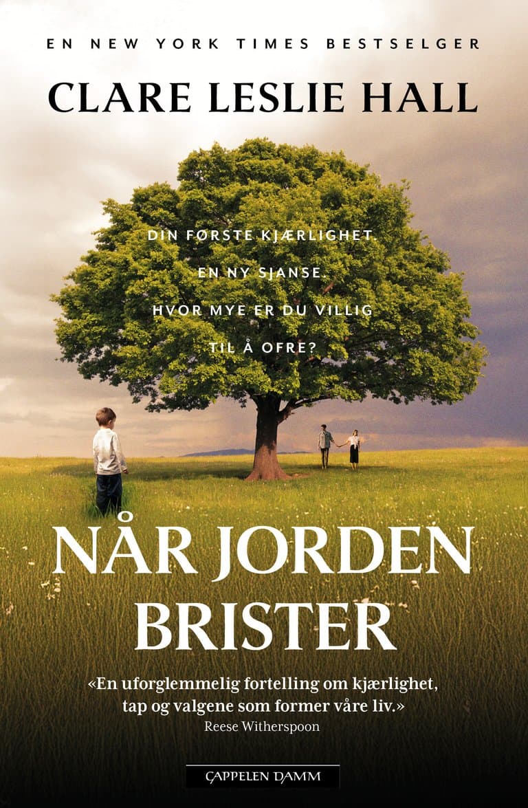 Omslag Når jorden brister av Clare Leslie Hall (Innbundet)