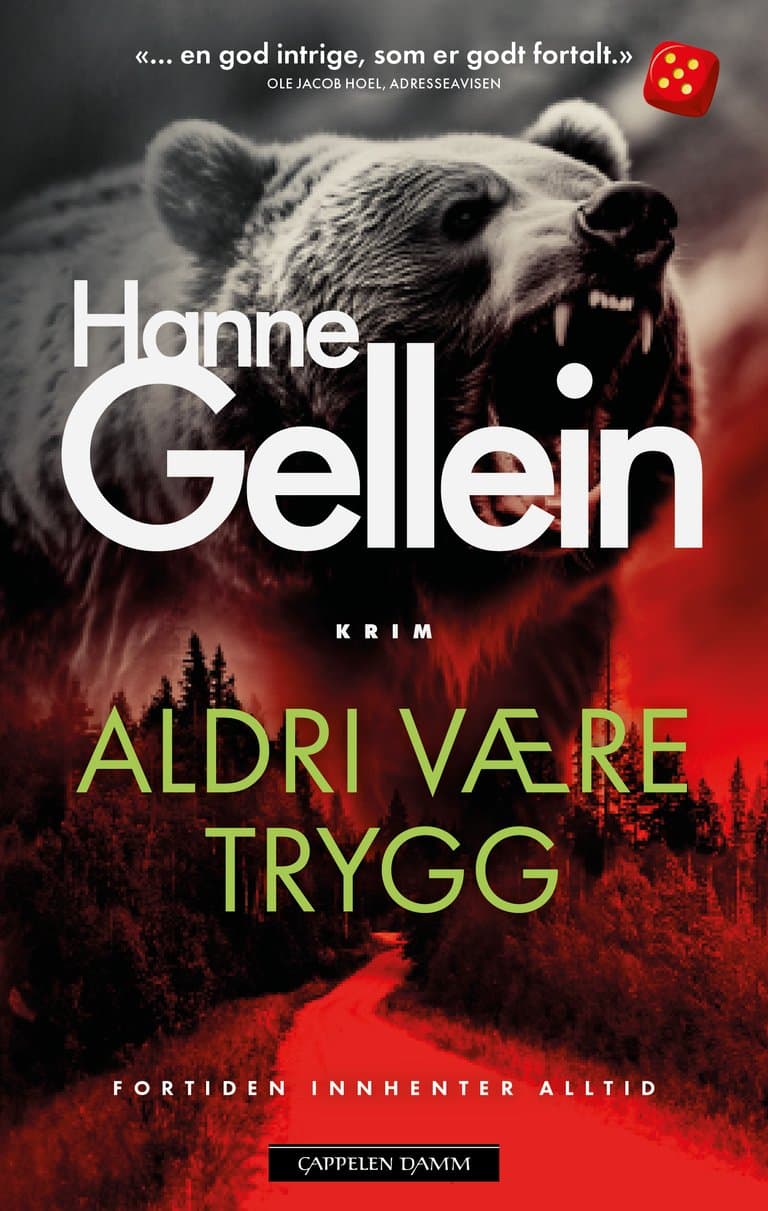 Omslag Aldri være trygg av Hanne Gellein (Ebok)