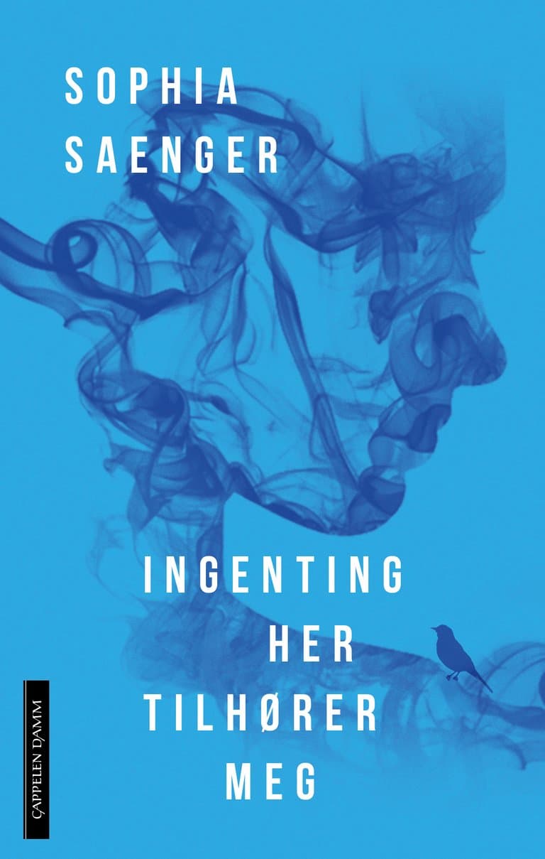 Omslag Ingenting her tilhører meg av Sophia Saenger (Ebok)