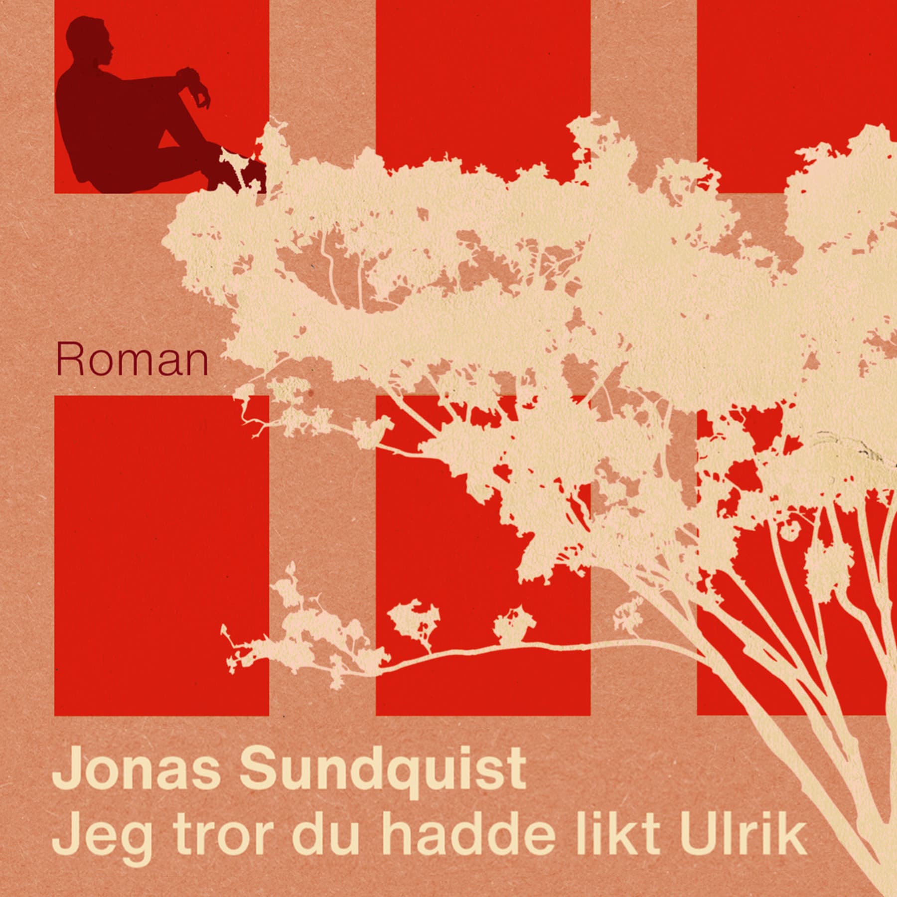 Omslag Jeg tror du hadde likt Ulrik av Jonas Sundquist (Lydbok)
