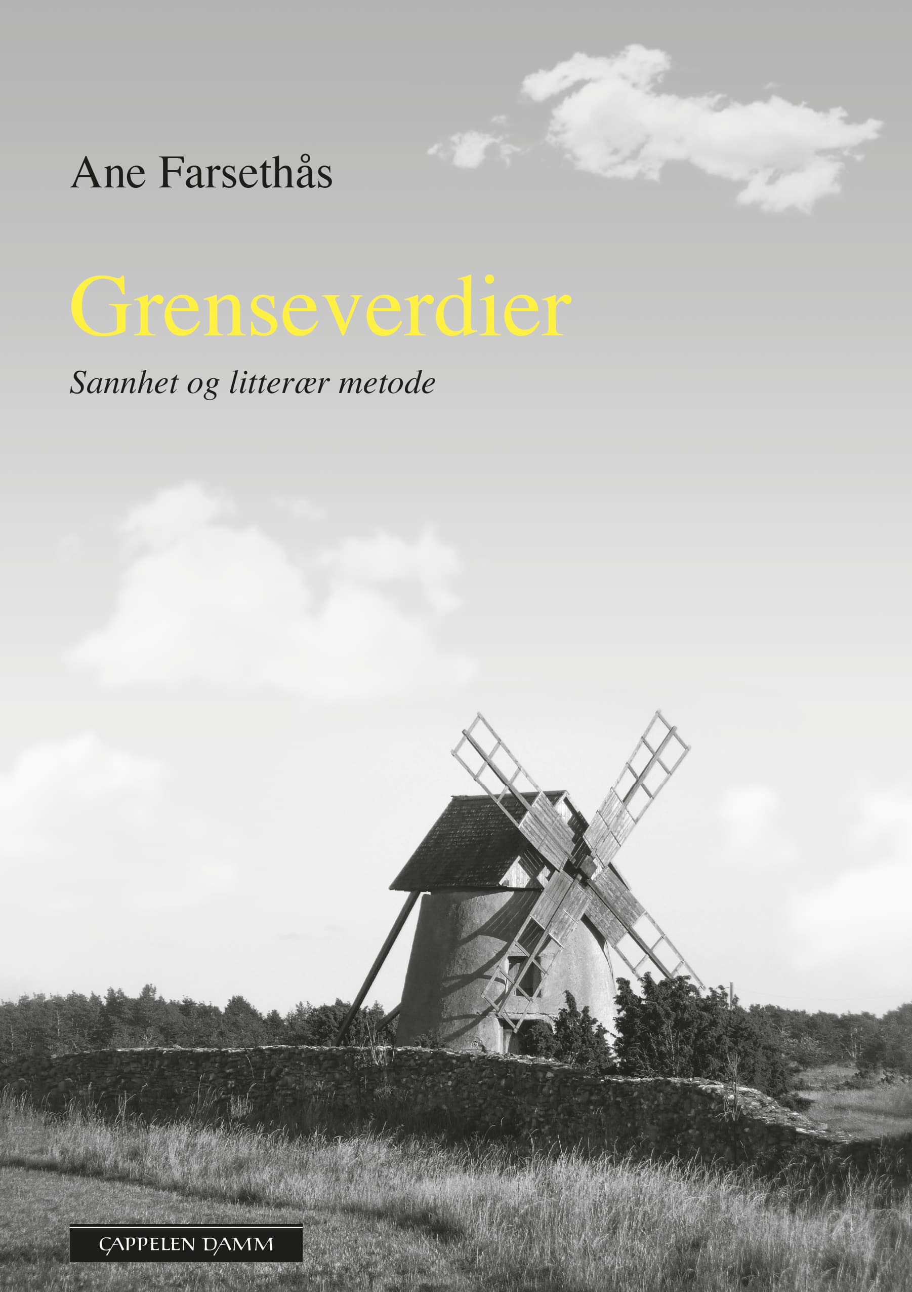 Omslag Grenseverdier av Ane Farsethås (Innbundet)