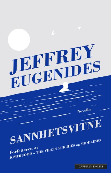 Omslag av "Sannhetsvitne"