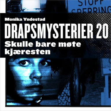 Omslag av "Skulle bare møte kjæresten"