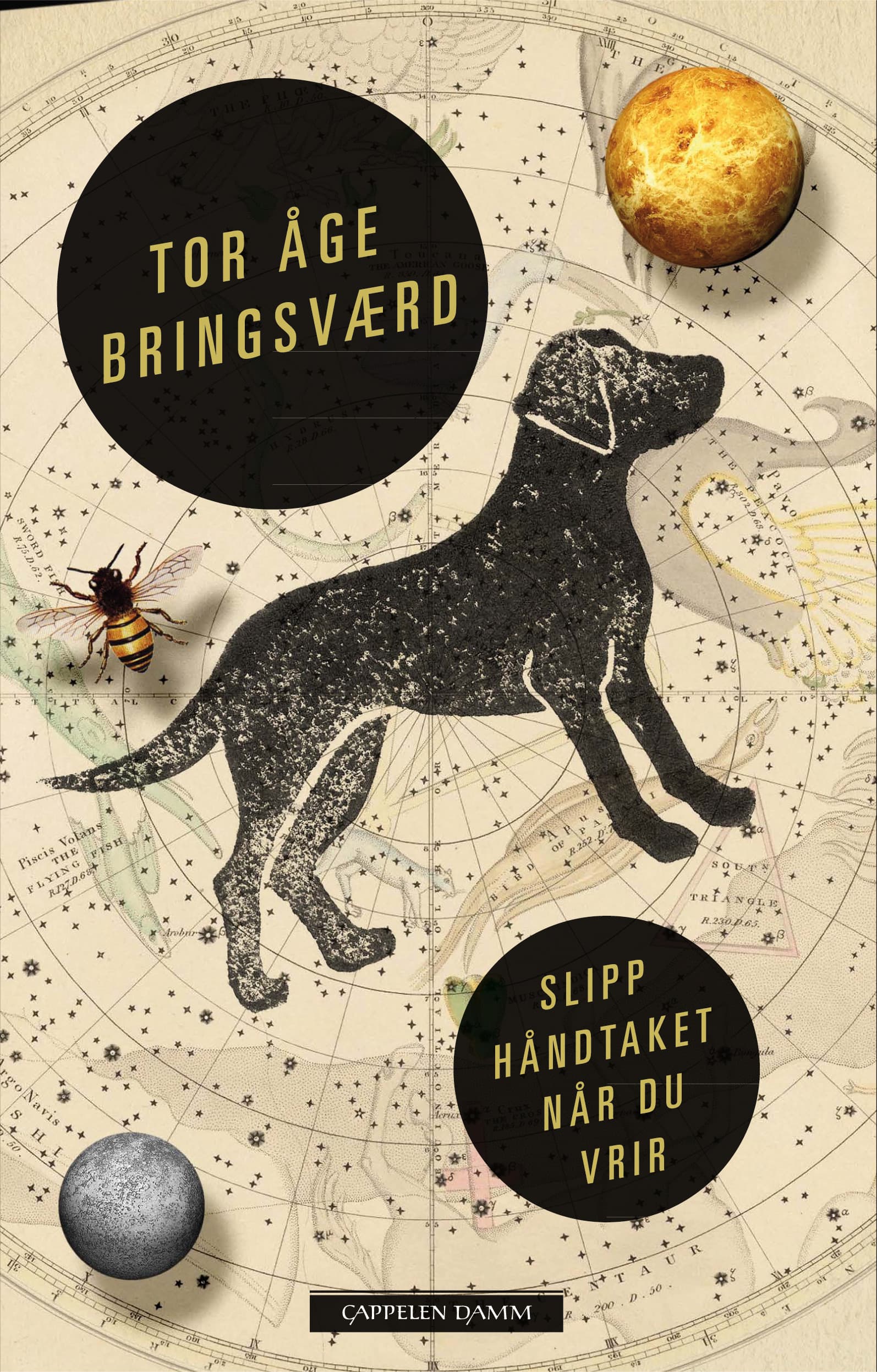 Omslag Slipp håndtaket når du vrir av Tor Åge Bringsværd (Innbundet)