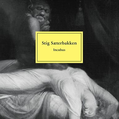 Omslag av "Incubus"