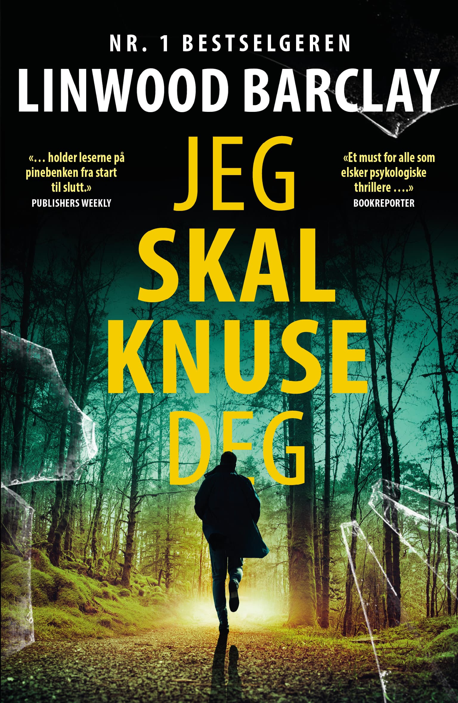 Omslag Jeg skal knuse deg av Linwood Barclay (Heftet)