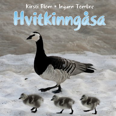 Omslag av "Hvitkinngåsa"