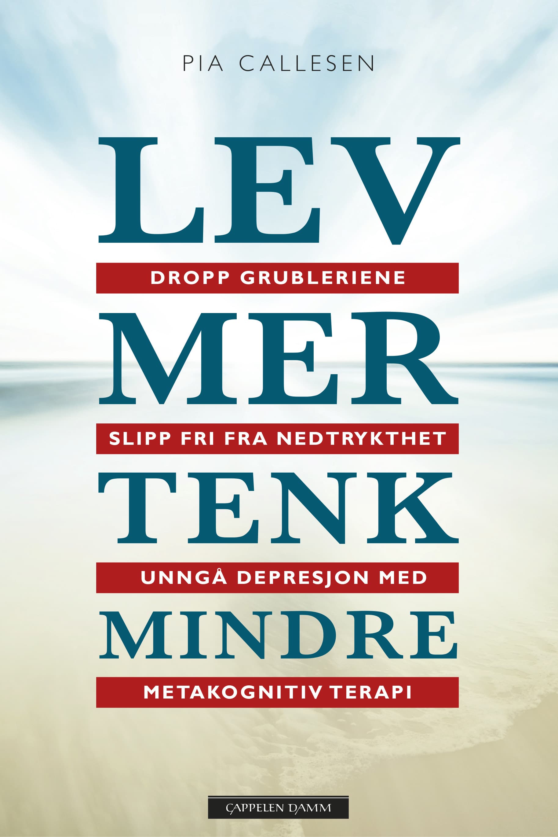 Omslag Lev mer tenk mindre av Pia Callesen (Ebok)