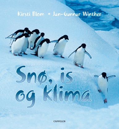 Omslag av "Snø, is og klima"