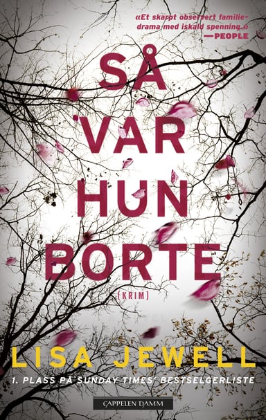 Omslag av "Så var hun borte"