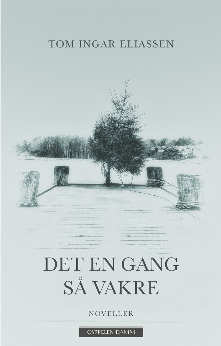Omslag Det en gang så vakre av Tom Ingar Eliassen (Ebok)
