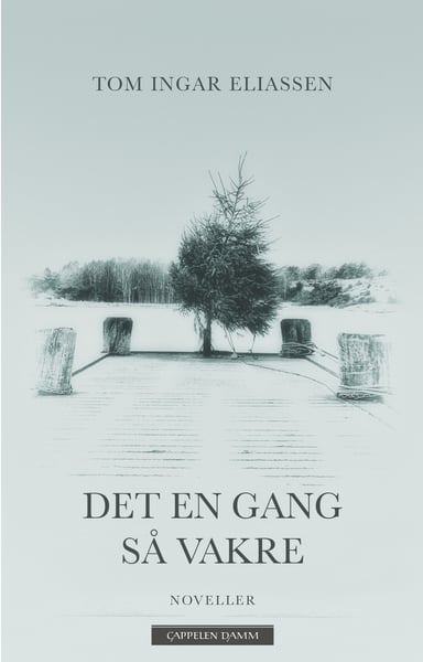 Omslag av "Det en gang så vakre"