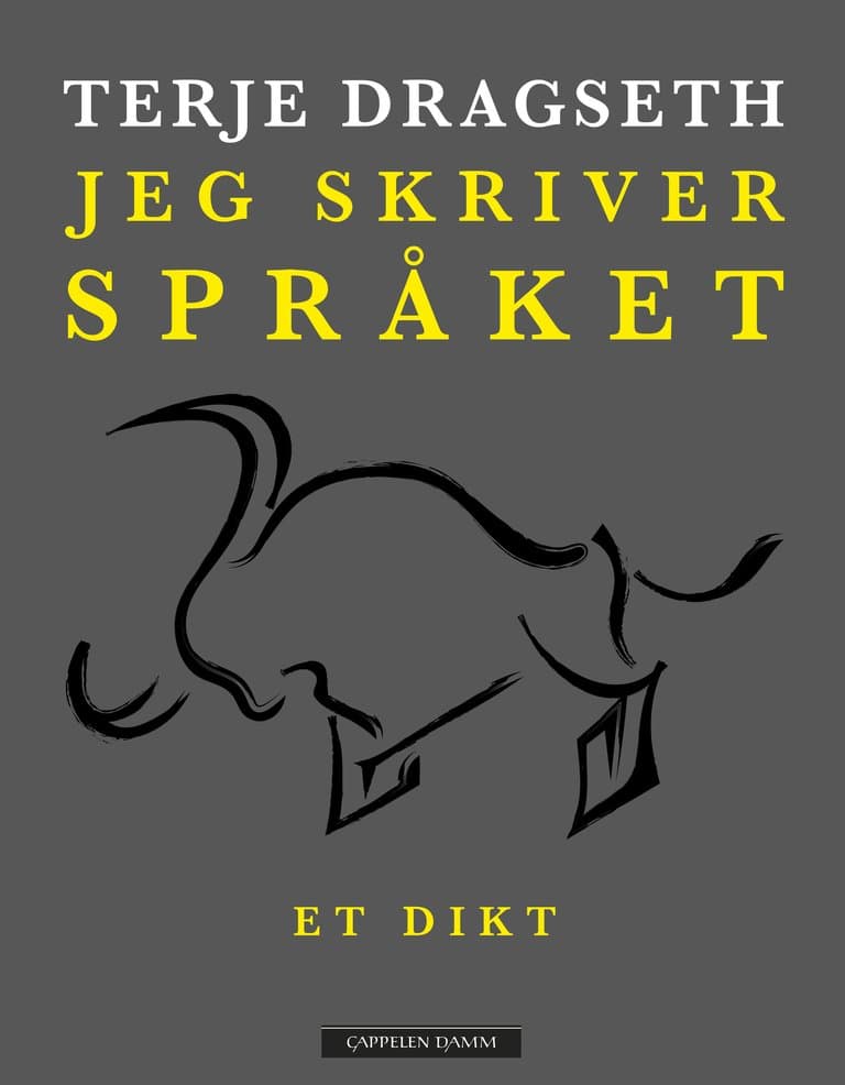 Omslag Jeg skriver språket av Terje Dragseth (Ebok)
