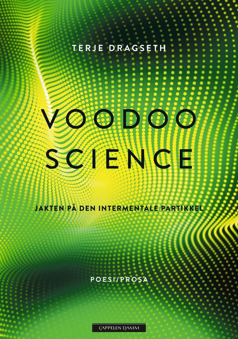 Omslag Voodoo Science av Terje Dragseth (Ebok)