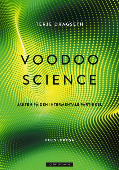 Omslag av "Voodoo Science"