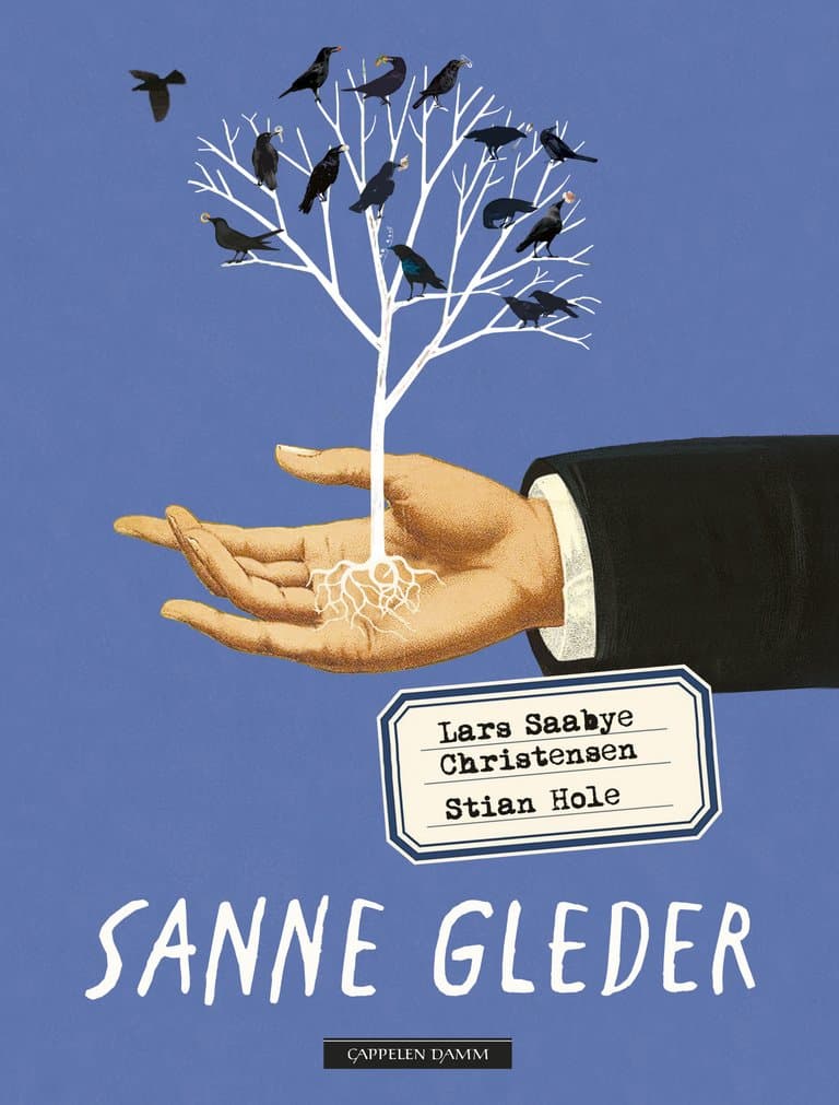 Omslag Sanne gleder av Lars Saabye Christensen (Innbundet)