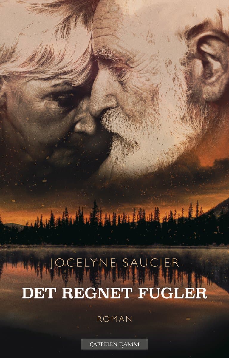 Omslag Det regnet fugler av Jocelyne Saucier (Innbundet)