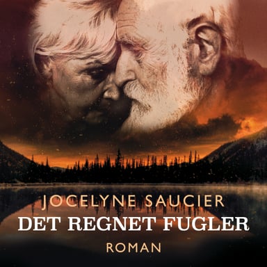 Omslag av "Det regnet fugler"