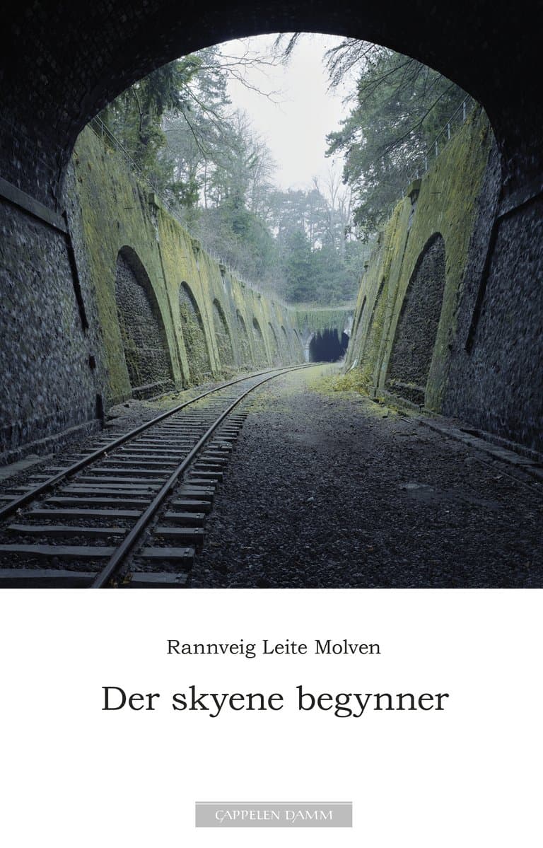 Omslag Der skyene begynner av Rannveig Leite Molven (Ebok)