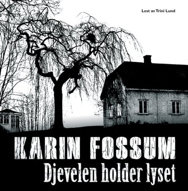 Omslag av "Djevelen holder lyset"