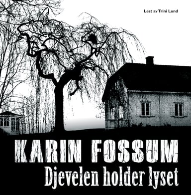 Omslag av "Djevelen holder lyset"