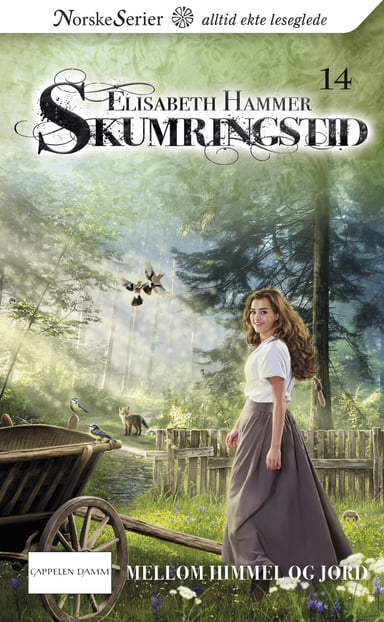 Omslag av "Mellom himmel og jord"