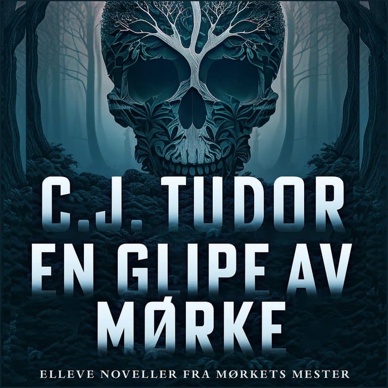 Omslag En glipe av mørke av C.J. Tudor (Lydbok)