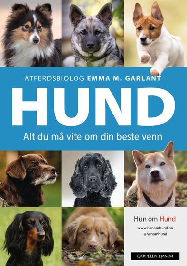 Omslag av "HUND"