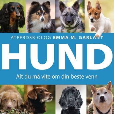 Omslag av "HUND - Alt du må vite om din beste venn"