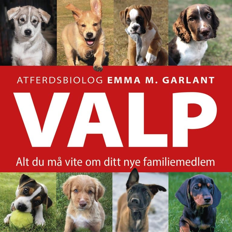 Omslag VALP - Alt du må vite om ditt nye familiemedlem av Emma M. Garlant (Lydbok)