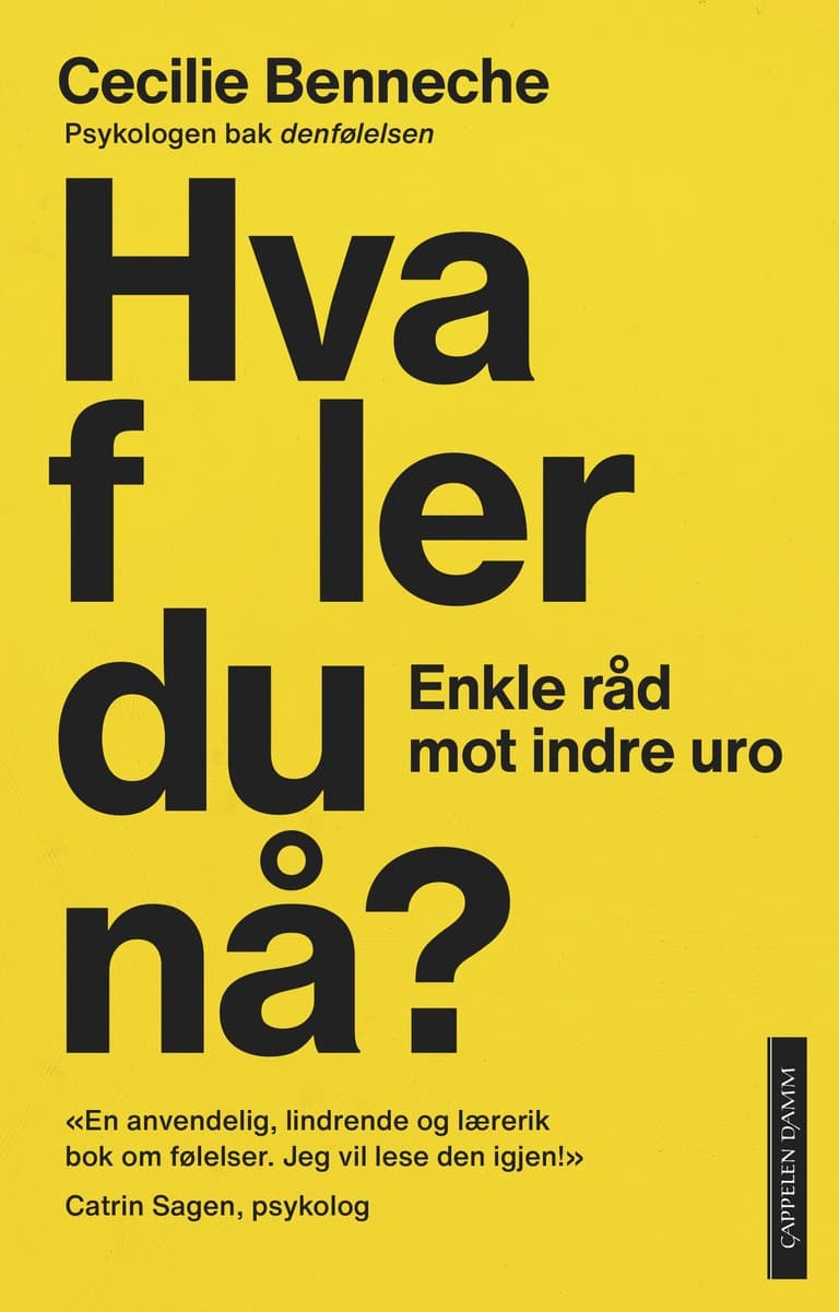 Omslag Hva føler du nå? av Cecilie Benneche (Ebok)