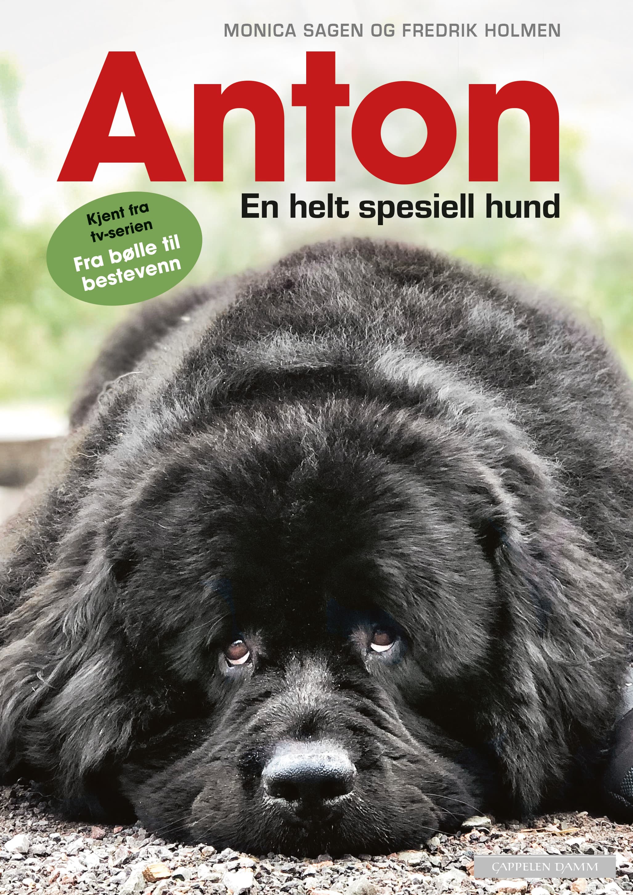 Omslag Anton - En helt spesiell hund av Fredrik Holmen og Monica Sagen (Innbundet)