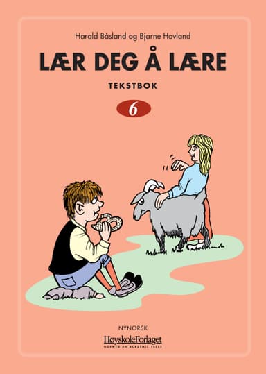 Lær deg å lære 6 nynorsk