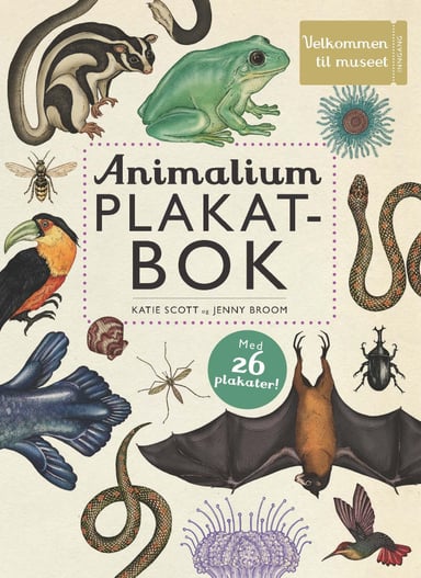 Omslag av "Animalium plakatbok"