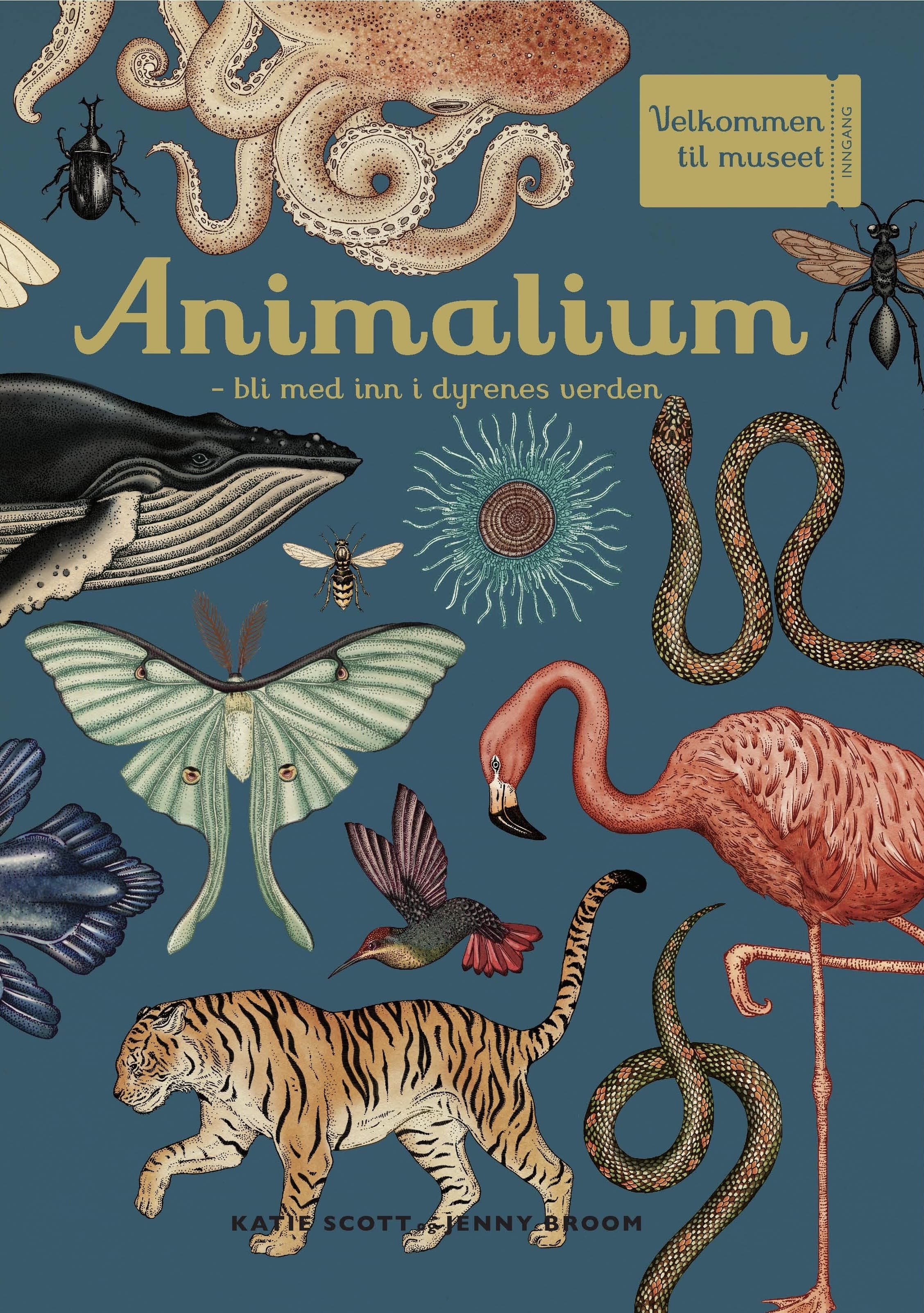 Omslag Animalium av Katie Scott og Jenny Broom (Innbundet)