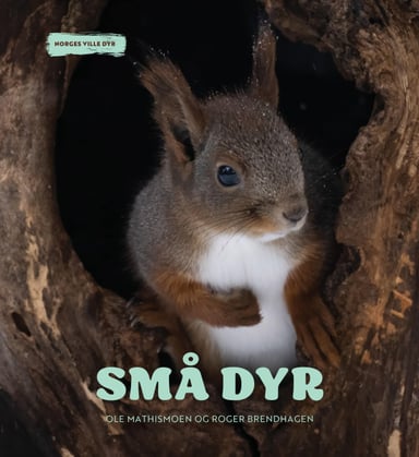 Omslag av "Små dyr"