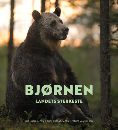 Omslag av "Bjørnen"