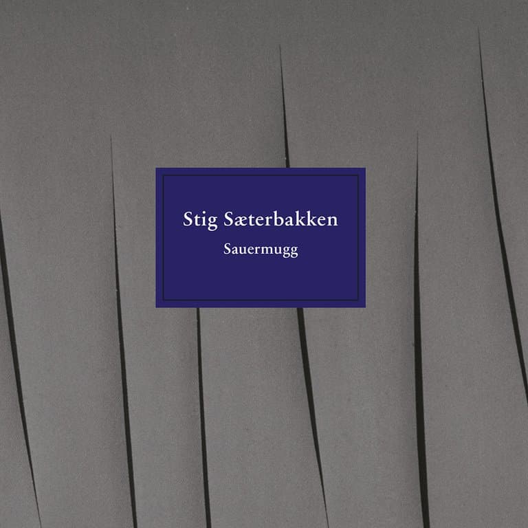 Omslag Sauermugg av Stig Sæterbakken (Lydbok)