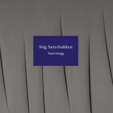 Omslag av "Sauermugg"