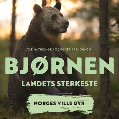 Omslag av "Bjørnen - Landets sterkeste"