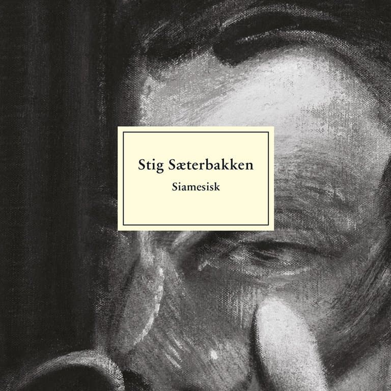 Omslag Siamesisk av Stig Sæterbakken (Lydbok)