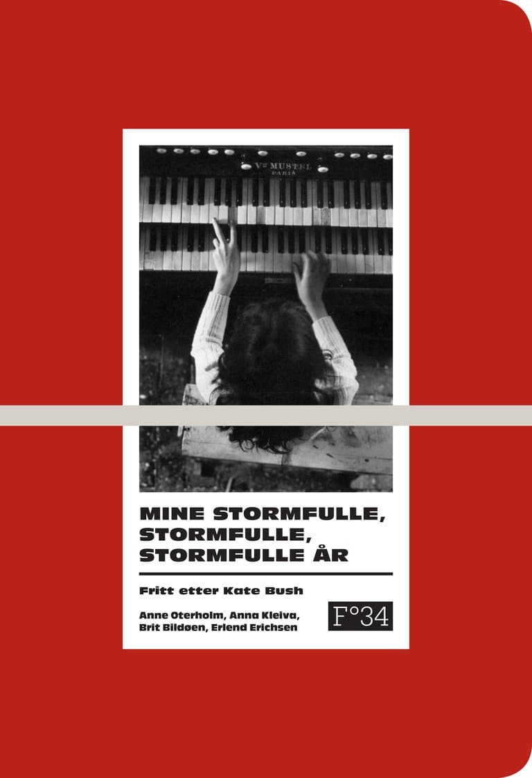 Omslag Mine stormfulle, stormfulle, stormfulle år (Heftet)