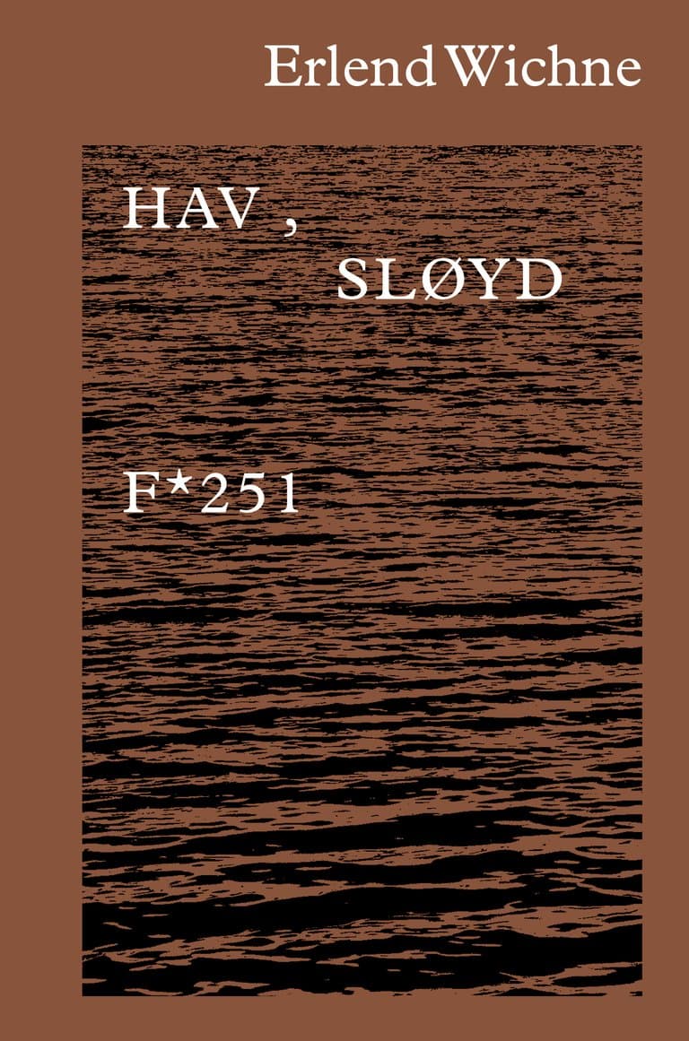 Omslag Hav, sløyd av Erlend Wichne (Ebok)