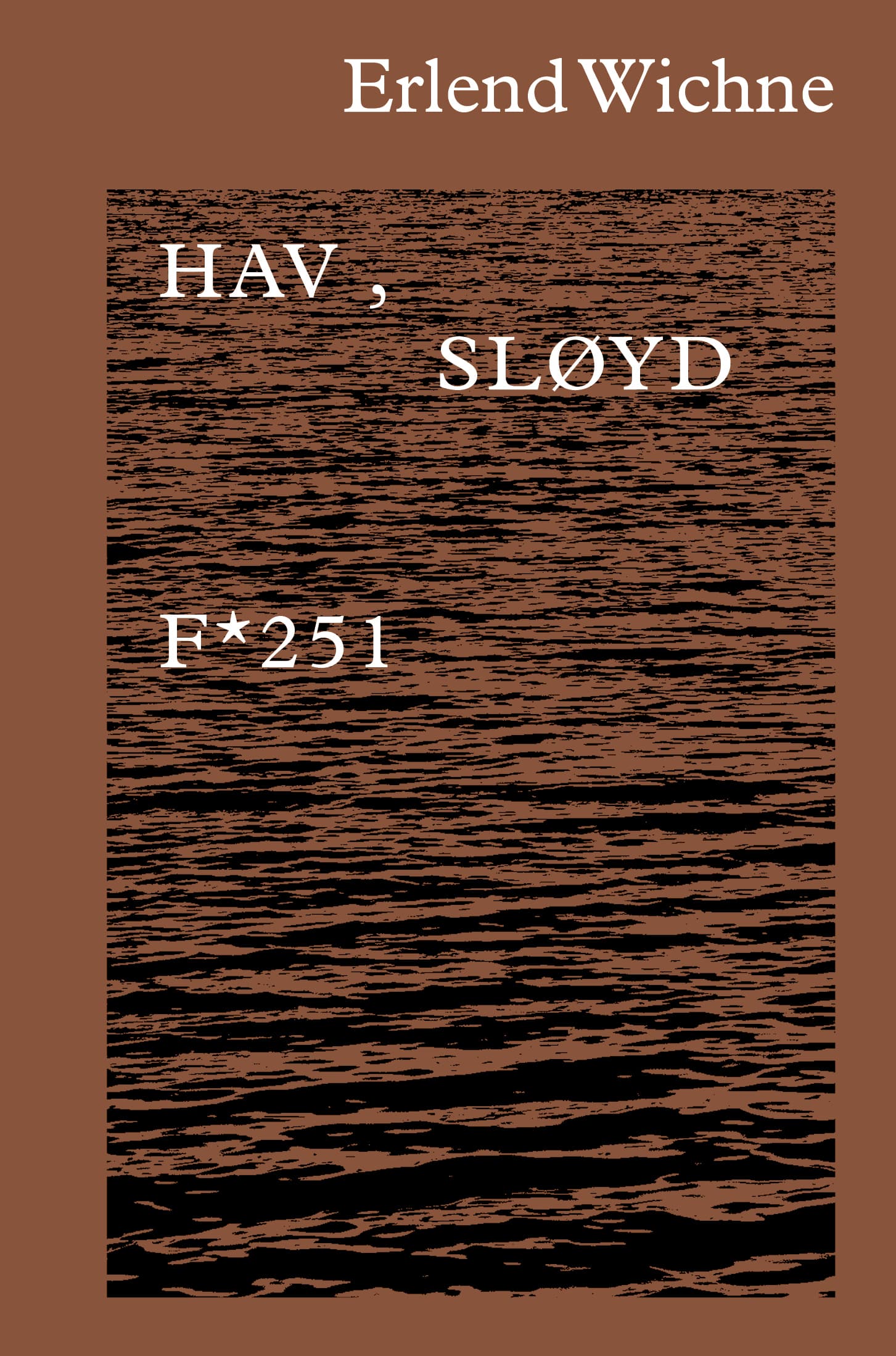 Omslag Hav, sløyd av Erlend Wichne (Innbundet)